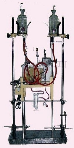 Mammalian Heart Perfusion Assembly